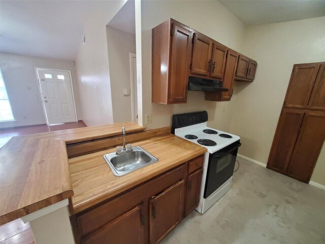 1425 Brazos Dr, Mesquite, TX 75150 - kitchen featuring electric stove, a sink, under cabinet range hood, baseboards, and wood counters