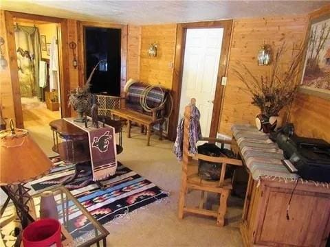 135 Whitaker Cir, Gordonville, TX 76245 - living area featuring wood walls and carpet floors