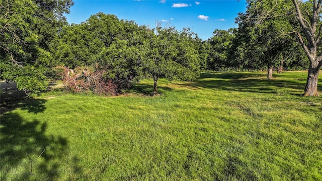 TBD W Howell St, Saint Jo, TX 76265