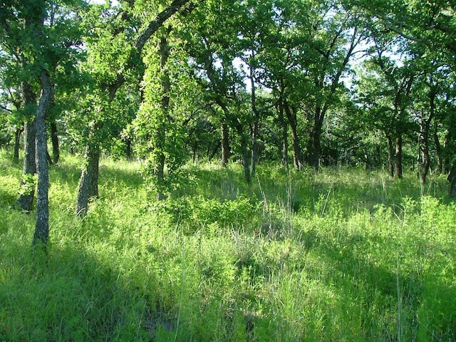 LOT263 Ridgeline Dr, Chico, TX 76431