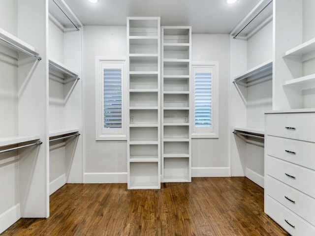 spacious closet featuring dark wood finished floors
