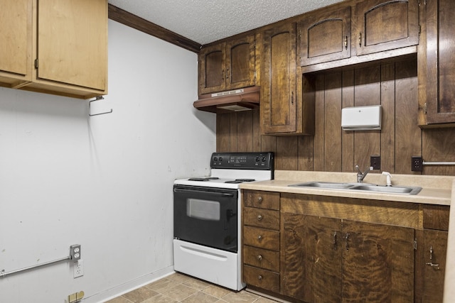 301 N Jefferson, Mount Pleasant, TX 75455 - kitchen featuring range with electric cooktop, under cabinet range hood, a sink, ornamental molding, and light countertops