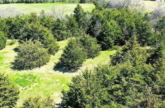 TBD County Road 4160, Bonham, TX 75418