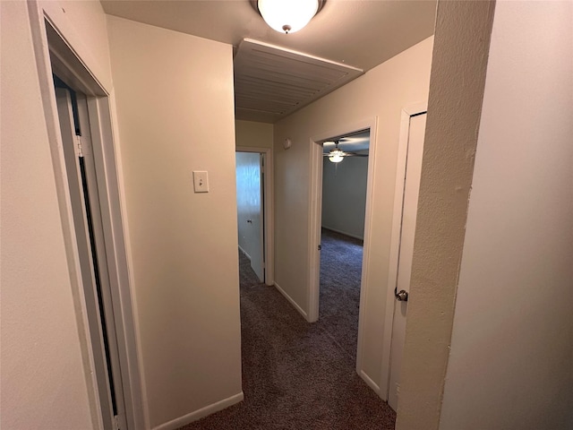 1664 Poplar Dr, Mesquite, TX 75149 - hall with carpet flooring