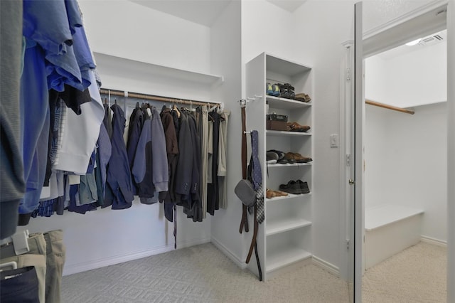 spacious closet with carpet
