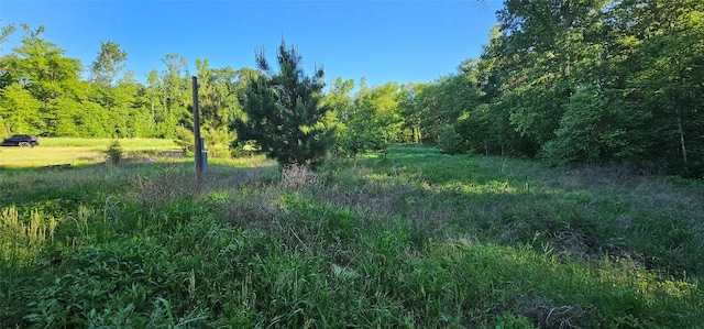 0 Fm 320, Palestine, TX 75802