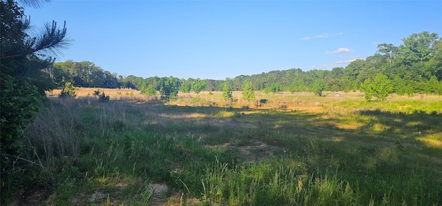 0 Fm 320, Palestine, TX 75802