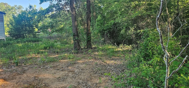 0 Fm 320, Palestine, TX 75802