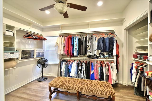 spacious closet with wood finished floors and ceiling fan