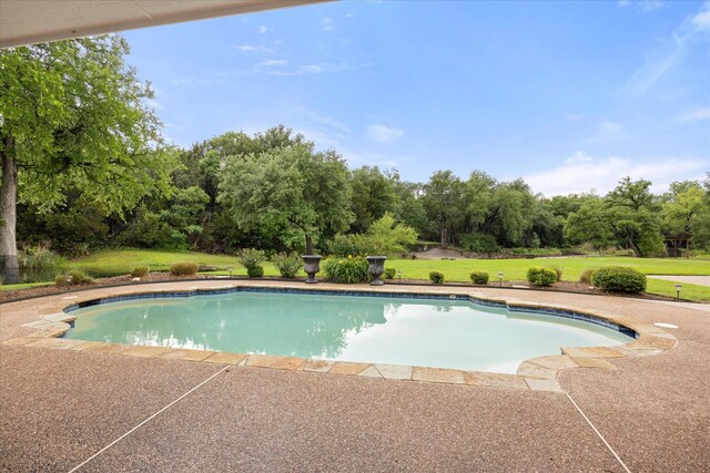 swimming pool featuring a lawn and view of scattered trees