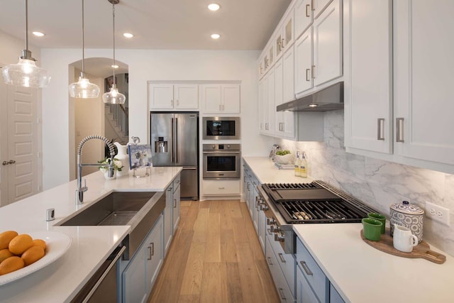 2210 Desmond Dr, Forney, TX 75126 - kitchen with stainless steel appliances, white cabinets, light wood finished floors, under cabinet range hood, and decorative backsplash