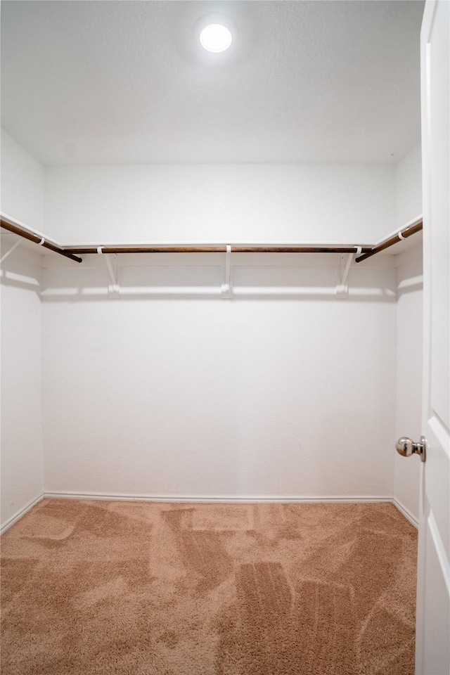 2923 Cascade Ln, Forney, TX 75126 - spacious closet featuring carpet floors