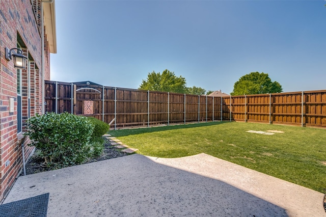 view of yard featuring a patio area