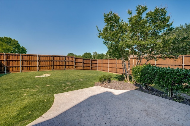 view of yard featuring a patio