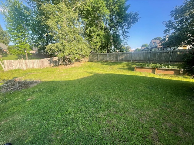 2127 Forest Hills Blvd, Haughton, LA 71037 - view of yard