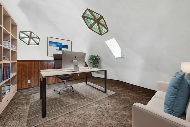 18206 Valley Vw, Forney, TX 75126 - office area with a skylight, carpet floors, a wainscoted wall, and lofted ceiling