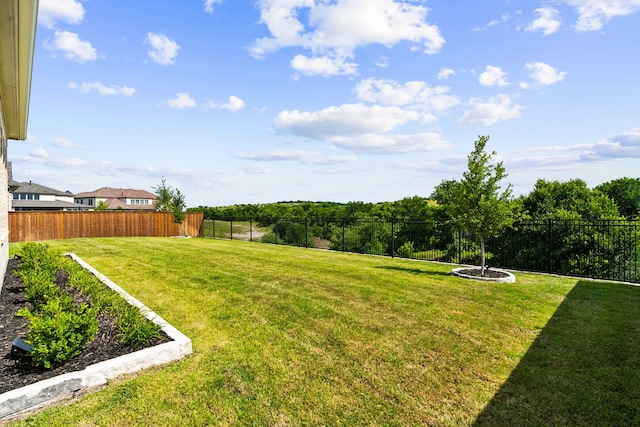 13417 Meadow Cross Dr, Fort Worth, TX 76008 - view of yard