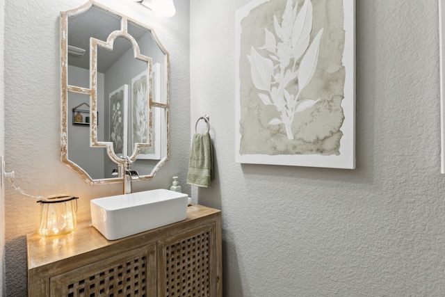 9529 Cholla Cactus Trl, Fort Worth, TX 76177 - bathroom featuring vanity and a textured wall