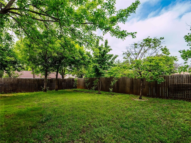 view of yard