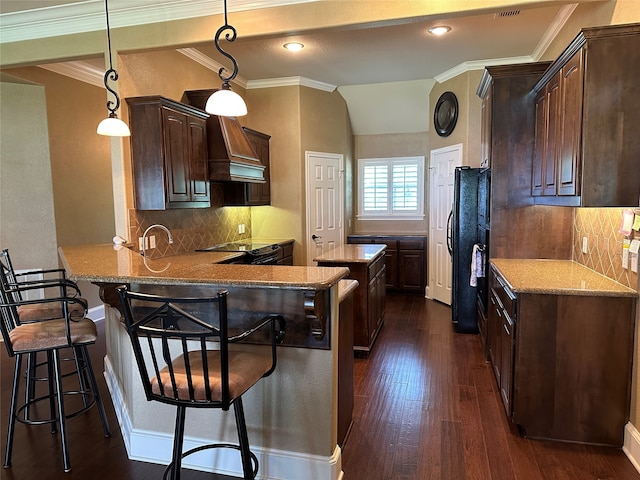 23196 J E B Cir, Frankston, TX 75763 - kitchen featuring ornamental molding, dark wood finished floors, dark brown cabinetry, custom exhaust hood, and a peninsula