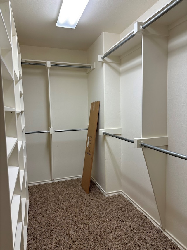 23196 J E B Cir, Frankston, TX 75763 - spacious closet featuring carpet floors