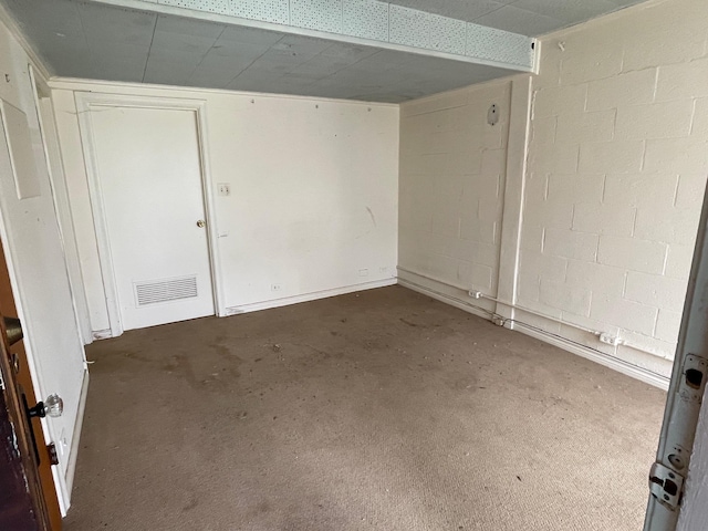 below grade area with carpet and concrete block wall
