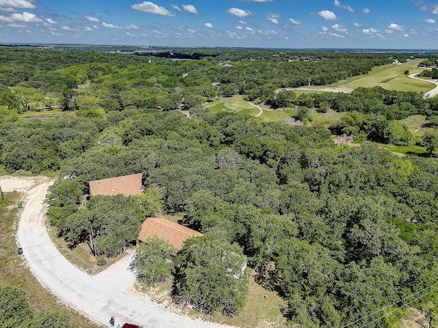 41 Crestline Ct, Nocona, TX 76255 - aerial view of a forest and a local golf course