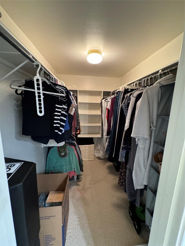 walk in closet featuring carpet flooring