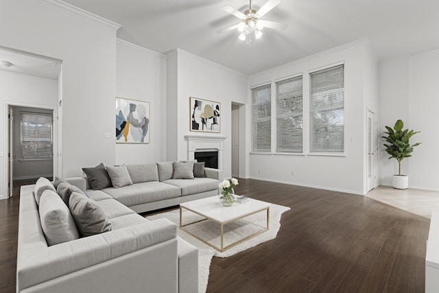 1707 Wheatberry Ln, Allen, TX 75002 - living area featuring ceiling fan, wood finished floors, ornamental molding, a fireplace, and baseboards