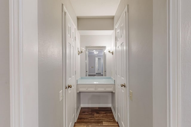 bathroom featuring wood finished floors and vanity