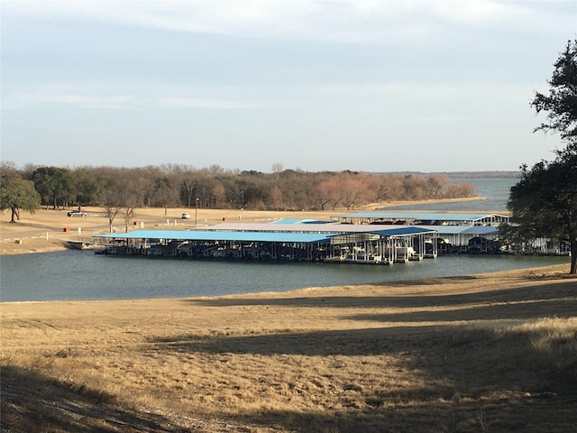 8184 Cedarcrest Dr, Whitney, TX 76692
