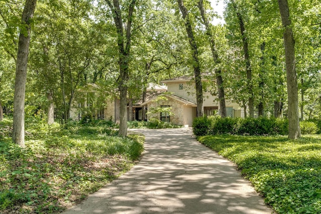 410 E Beady Rd, Arlington, TX 76006 - view of property hidden behind natural elements with stone siding