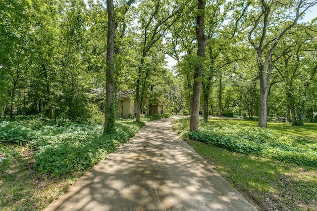 410 E Beady Rd, Arlington, TX 76006 - view of community