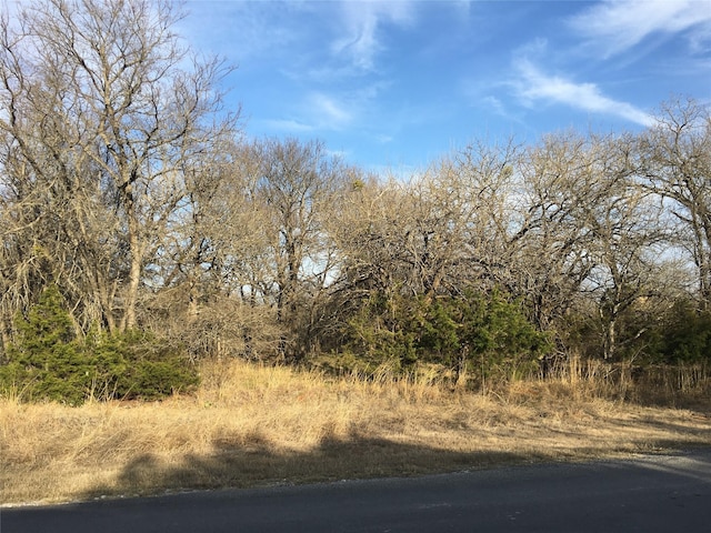 39324 Misty Ridge Dr, Whitney, TX 76692