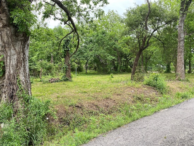 102 Elm St, Bonham, TX 75418