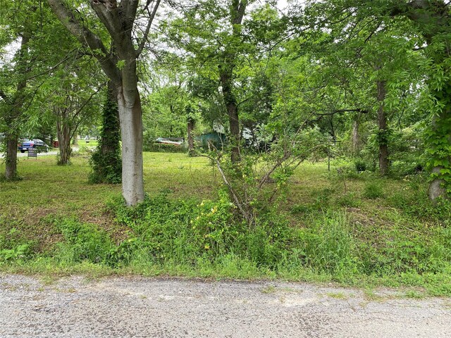 102 Elm St, Bonham, TX 75418