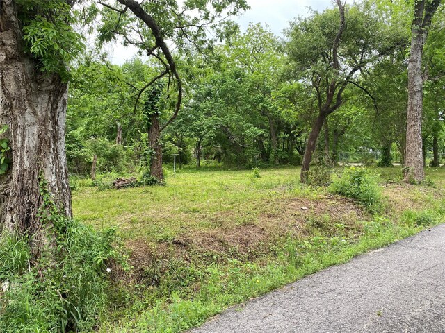 102 Elm St, Bonham, TX 75418