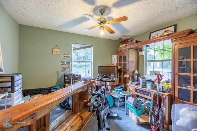 350 County Road 606 Unit B, Tuscola, TX 79562 - misc room featuring carpet flooring, plenty of natural light, ceiling fan, and a textured ceiling
