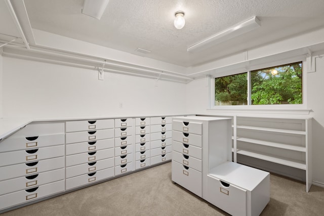 spacious closet featuring light carpet