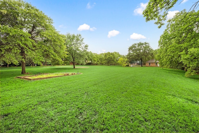 view of grassy yard featuring view of scattered trees