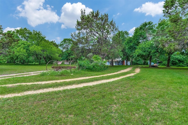1455 N Joe Wilson Rd, Cedar Hill, TX 75104 - view of green lawn