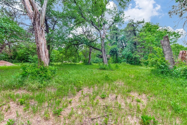 1455 N Joe Wilson Rd, Cedar Hill, TX 75104 - view of yard