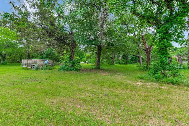 1455 N Joe Wilson Rd, Cedar Hill, TX 75104 - view of green lawn
