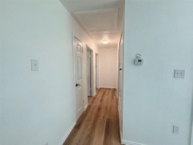 2719 S 27th, Waco, TX 76706 - hallway with wood finished floors and baseboards