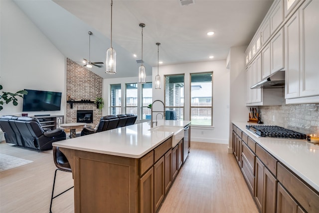 2309 Albion Way, Forney, TX 75126 - kitchen featuring stainless steel appliances, a fireplace, light wood-style floors, open floor plan, and ceiling fan