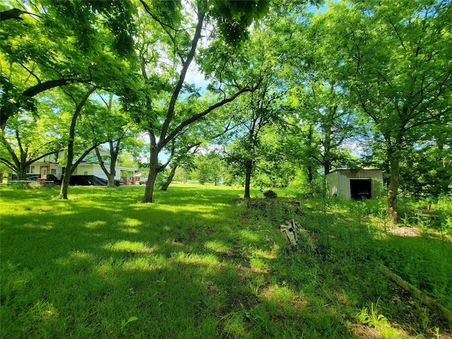 1208 W Broadway, Clarksville, TX 75426 - view of grassy yard with an outdoor structure and a storage unit