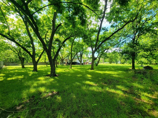 1208 W Broadway, Clarksville, TX 75426 - view of yard