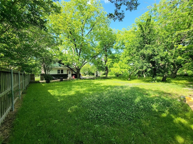 1208 W Broadway, Clarksville, TX 75426 - view of yard