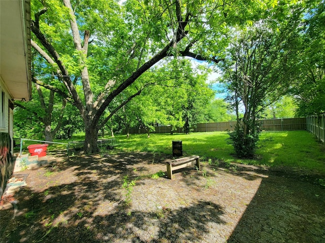 1208 W Broadway, Clarksville, TX 75426 - view of yard