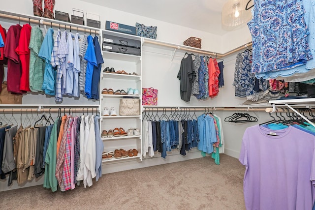 5050 Helton Rd, Justin, TX 76247 - walk in closet with carpet flooring